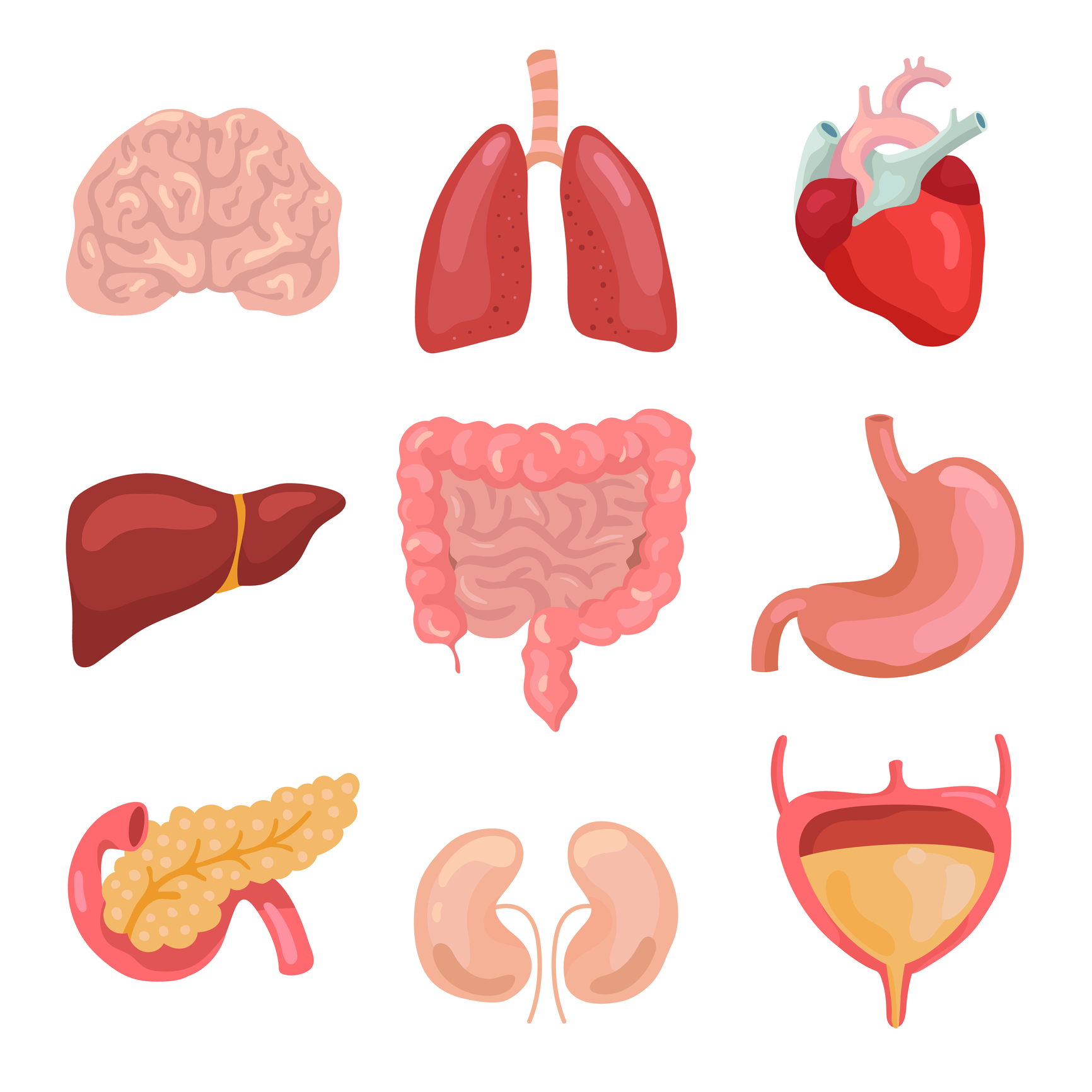 Organies Organs Unite! – Vital Health